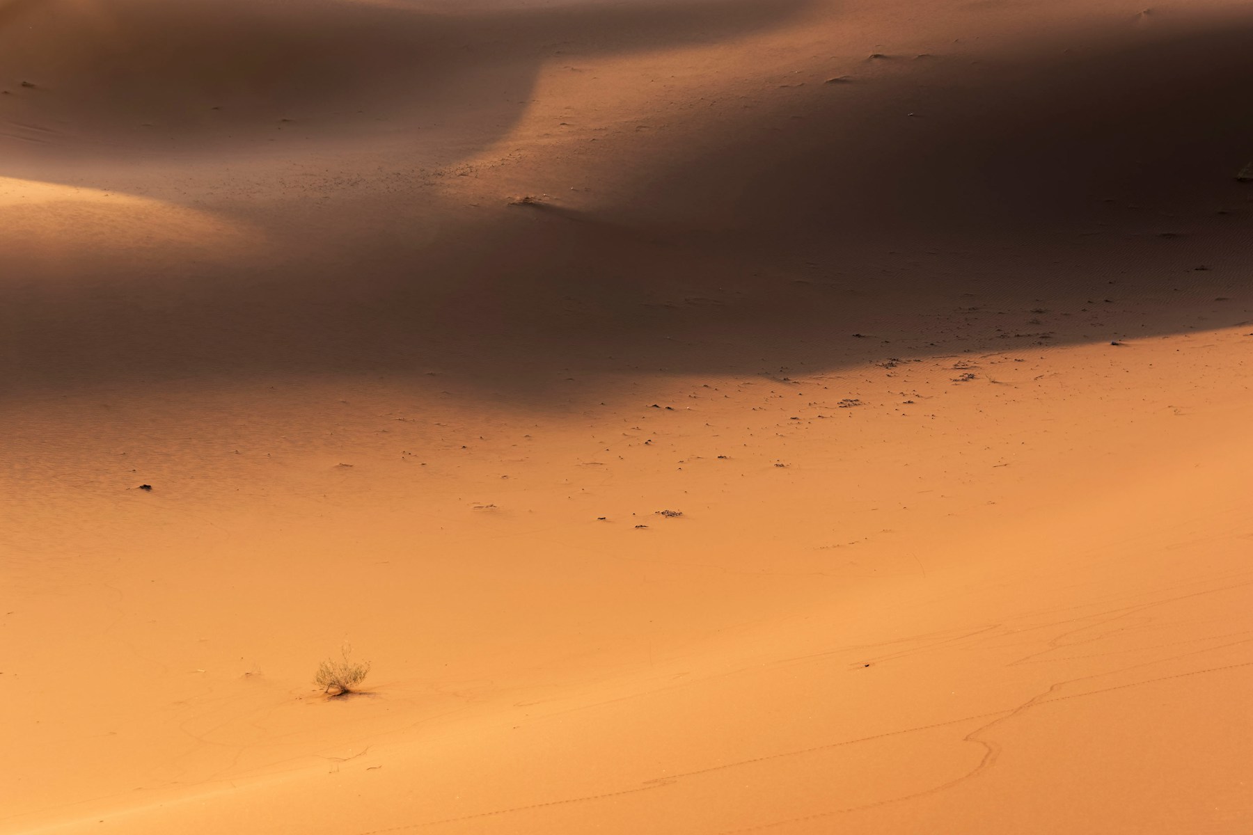Paisaje del Sahara en ruta privada de cinco días